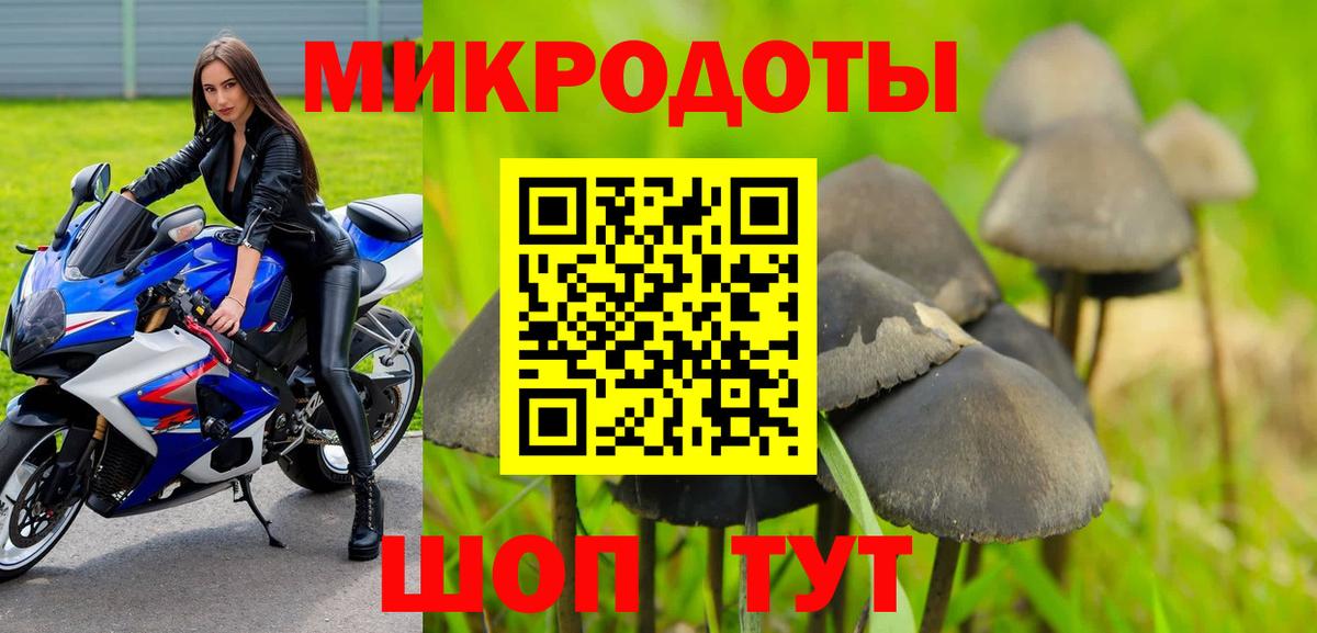 Галлюциногенные грибы Psilocybine cubensis  Вход с VPN  Стрежевой 
