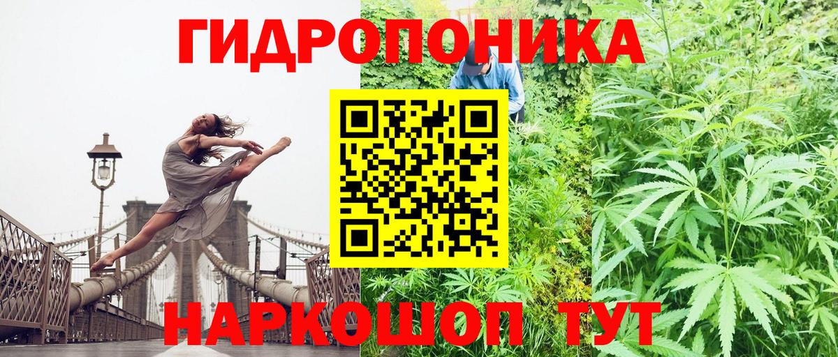 Канабис план  МАРИХУАНА OG Kush  Конопля гибрид  Стрежевой  Вход с VPN 